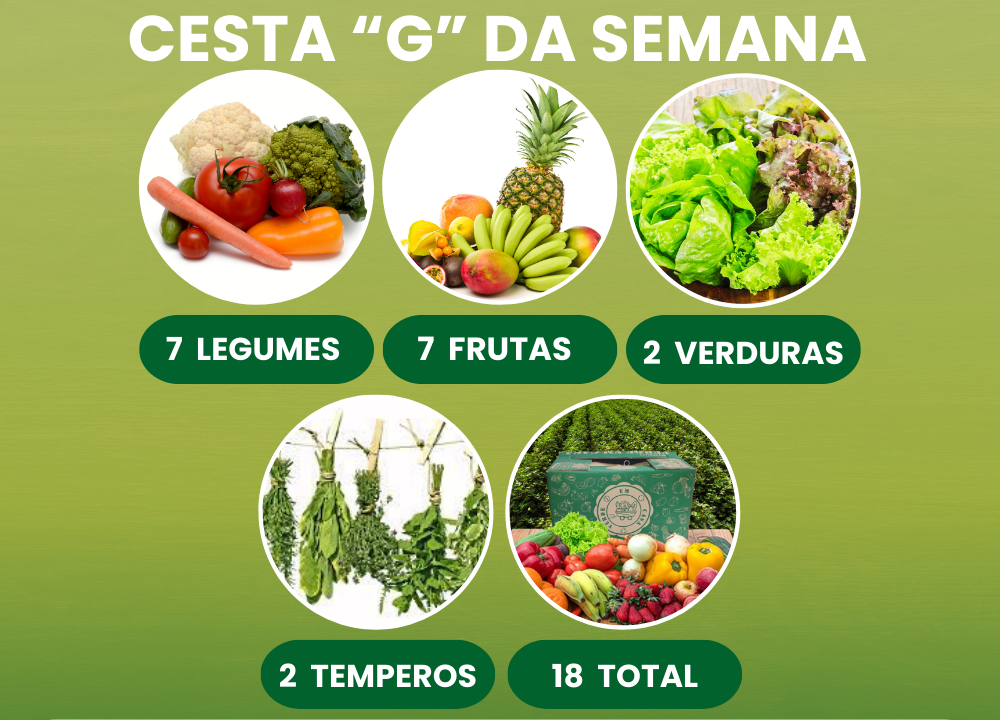CESTRA ORG G