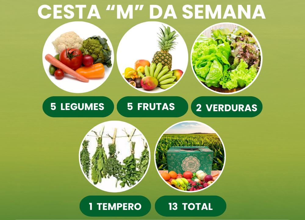 CESTRA ORG M