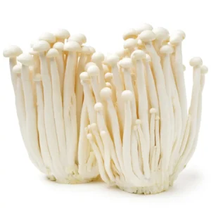 Enoki 100g