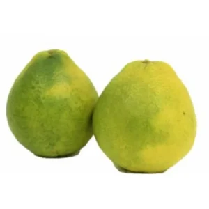 Laranja-Champanhe