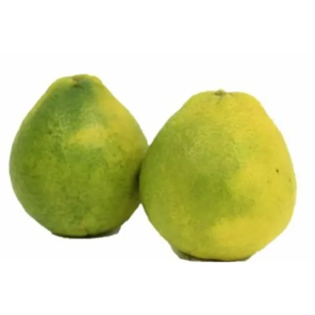 Laranja-Champanhe