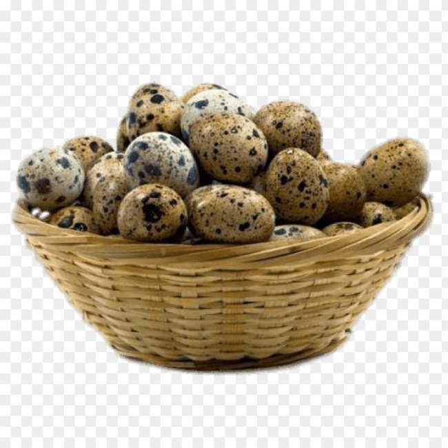 Ovos De Codorna