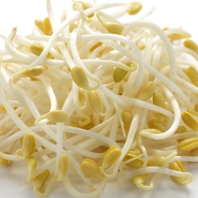 Moyashi (Broto de Feijão) 500g