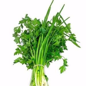 Cebolinha e Salsa