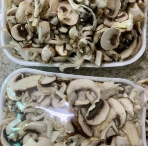 Mix de Cogumelos 500g