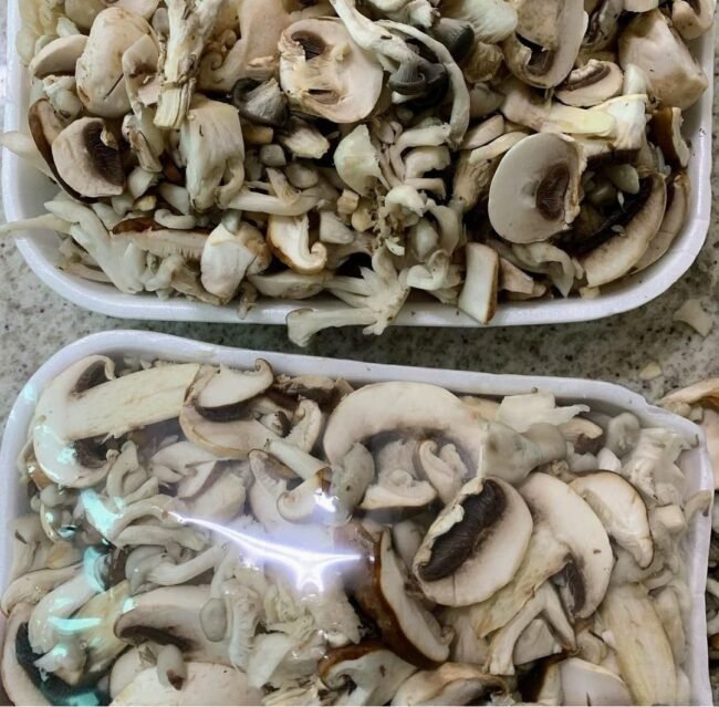 Mix de Cogumelos 500g