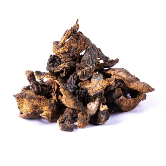 Funghi Seco 50g