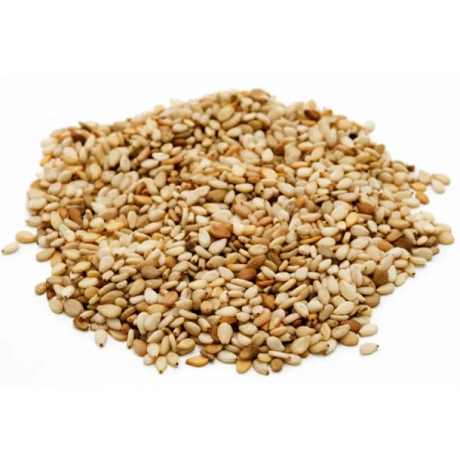 Gergelim Integral 100g