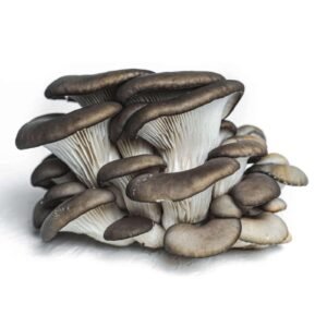 Shimeji Preto 200g